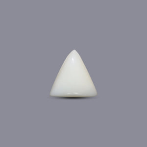 Italian White Coral - 6.1 Carat - Pramogh