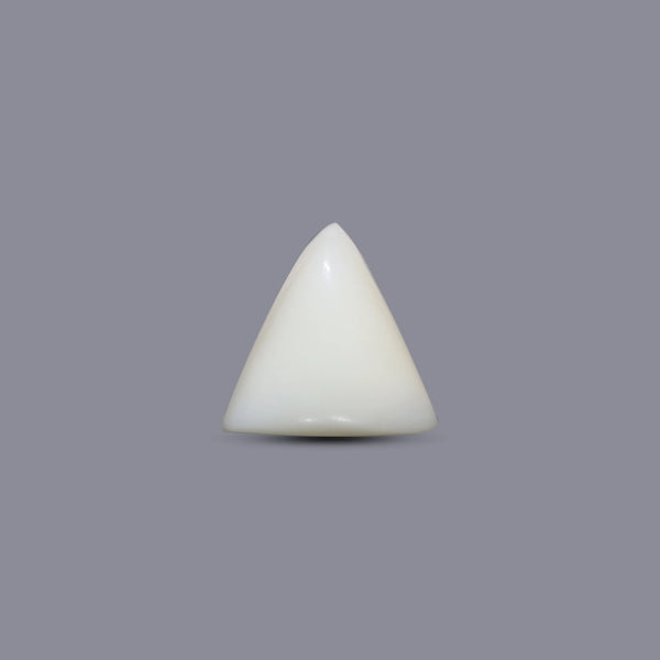 Italian White Coral - 6.1 Carat - Pramogh