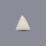White Coral - 6.1 Carat