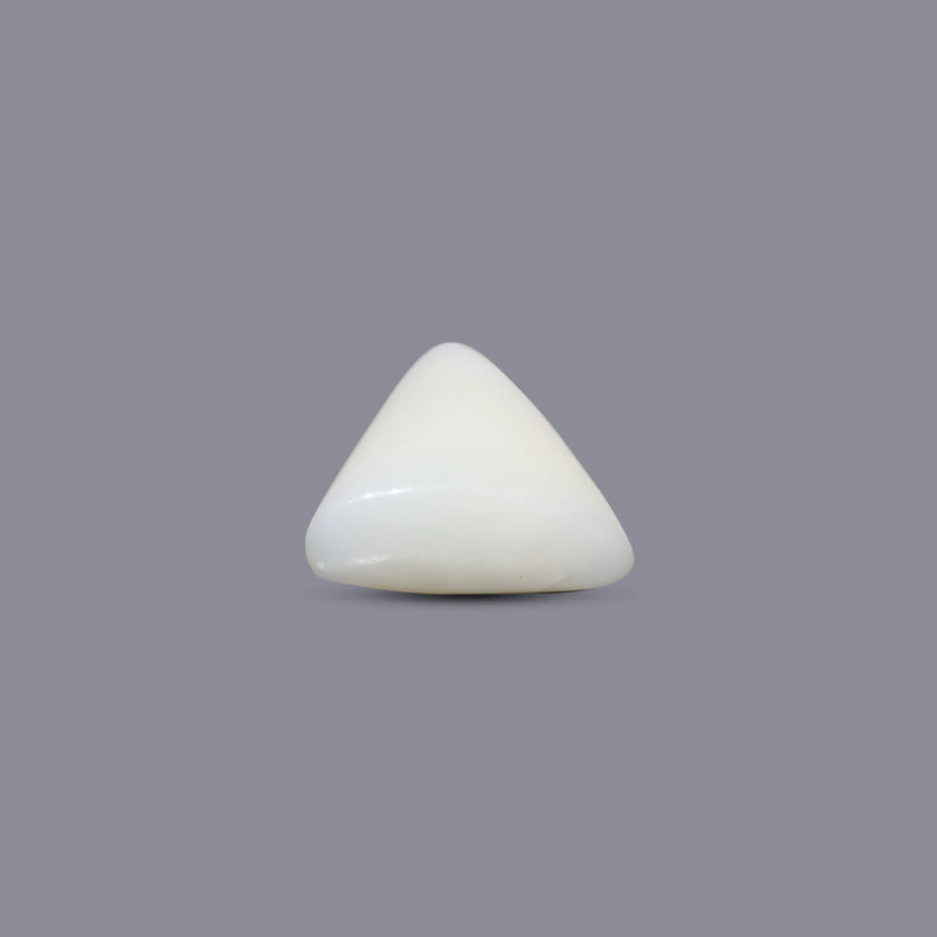 White Coral - 6.1 Carat