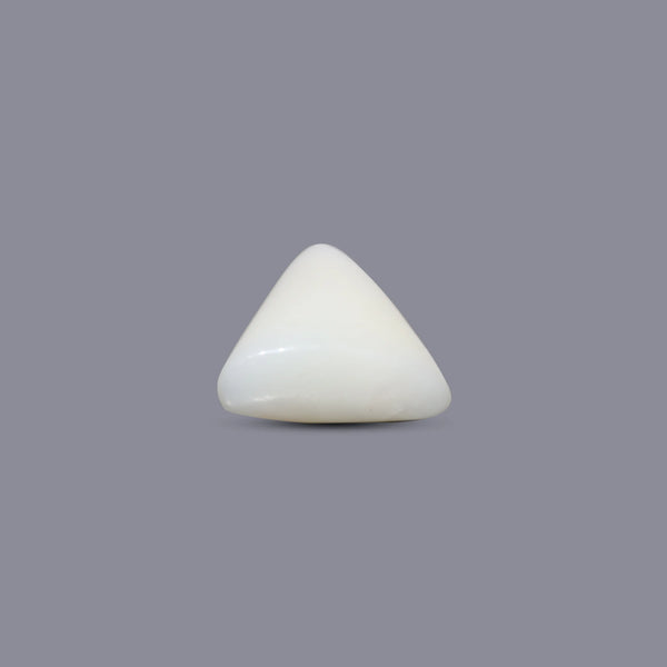 White Coral - 6.1 Carat