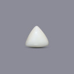 Italian White Coral - 9.15 Carat - Pramogh