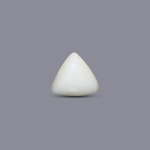 Italian White Coral - 9.15 Carat - Pramogh