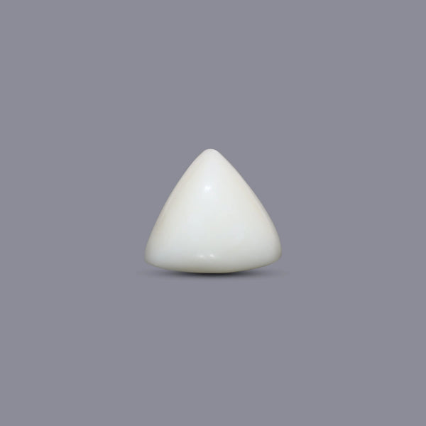 Italian White Coral - 9.15 Carat - Pramogh