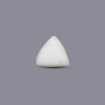 White Coral - 9.15 Carat