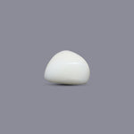 White Coral - 9.15 Carat