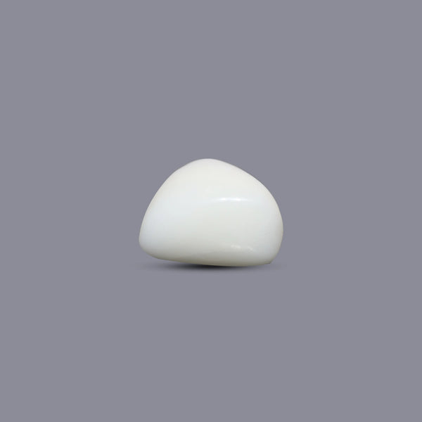 White Coral - 9.15 Carat