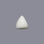 Italian White Coral - 6.55 Carat - Pramogh