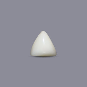 Italian White Coral - 6.55 Carat - Pramogh