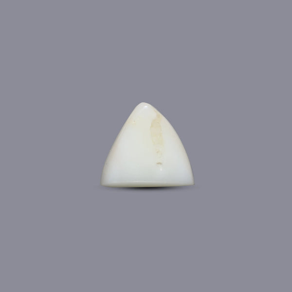 White Coral - 6.55 Carat