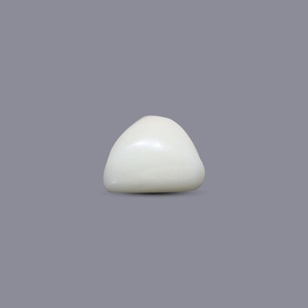 White Coral - 6.55 Carat