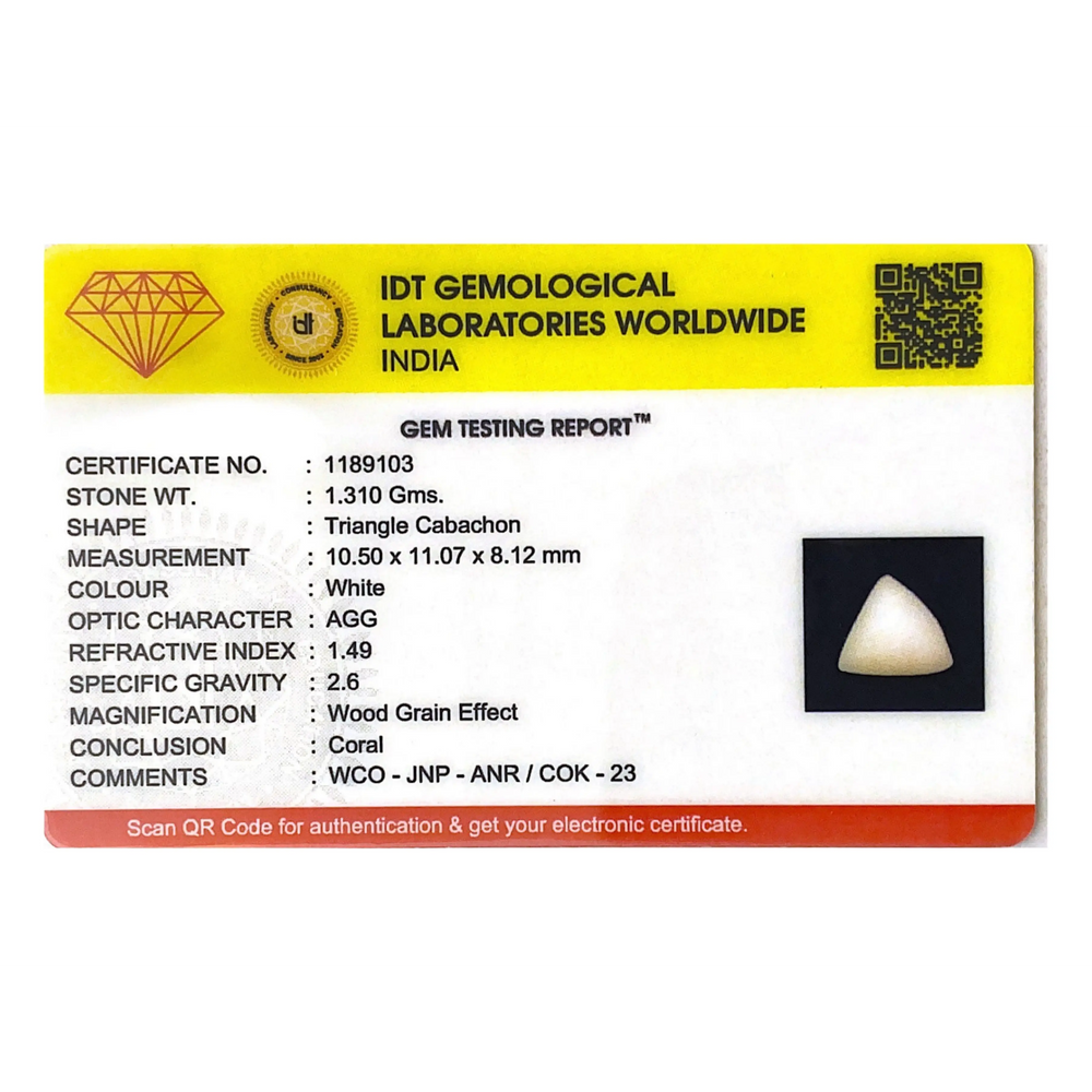 White Coral - 6.55 Carat