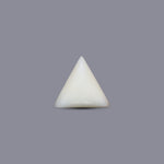 Italian White Coral - 6.9 Carat - Pramogh