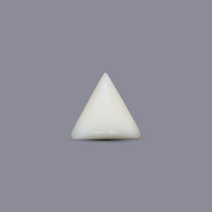 Italian White Coral - 6.9 Carat - Pramogh