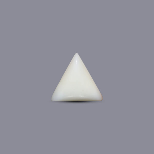 Italian White Coral - 6.9 Carat - Pramogh