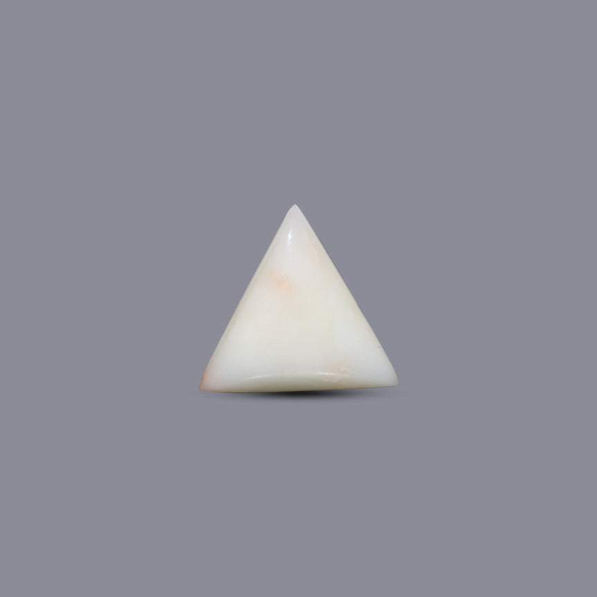 White Coral - 6.9 Carat