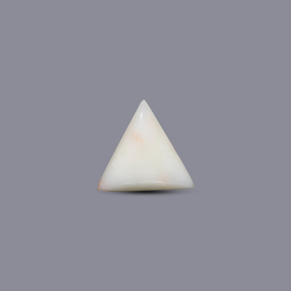 White Coral - 6.9 Carat