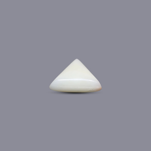White Coral - 6.9 Carat