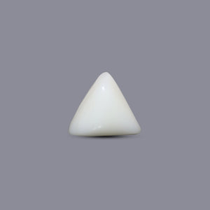 Italian White Coral - 6.45 Carat - Pramogh