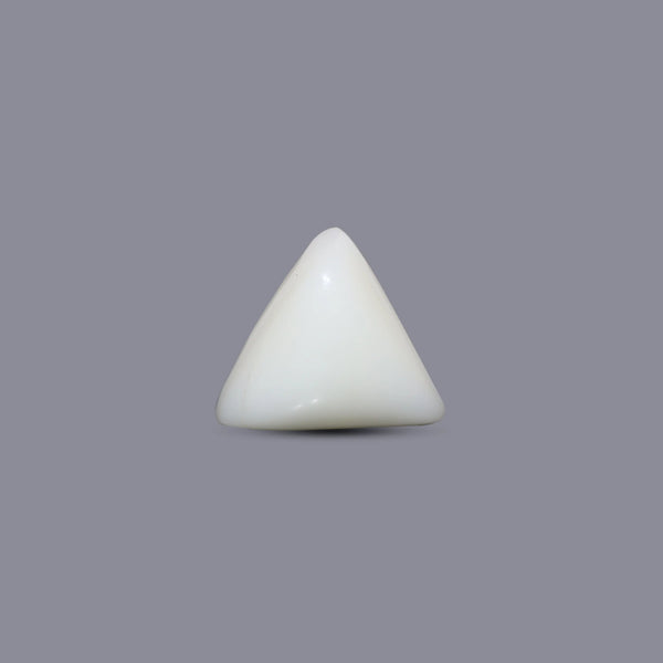 Italian White Coral - 6.45 Carat - Pramogh