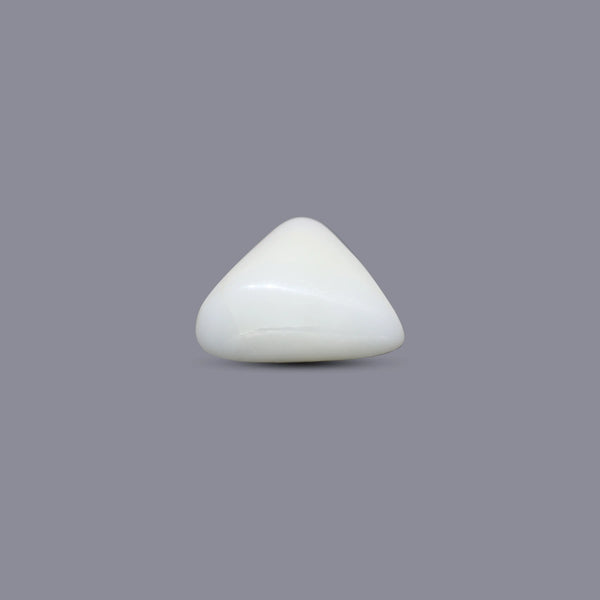 White Coral - 6.45 Carat