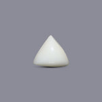 Italian White Coral - 7.95 Carat - Pramogh