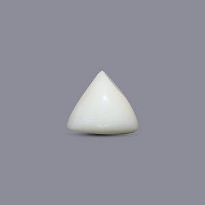 Italian White Coral - 7.95 Carat - Pramogh