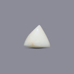 White Coral - 7.95 Carat