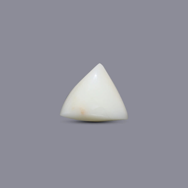 White Coral - 7.95 Carat