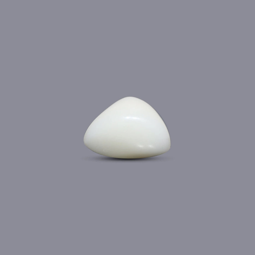White Coral - 7.95 Carat