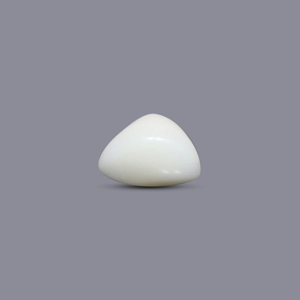 White Coral - 7.95 Carat