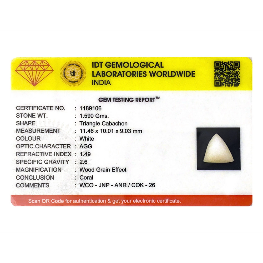 White Coral - 7.95 Carat