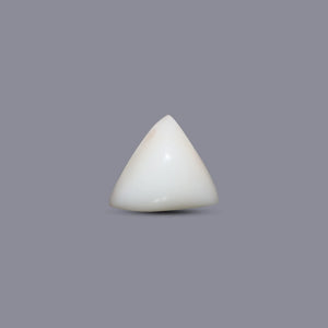 Italian White Coral - 6.8 Carat - Pramogh