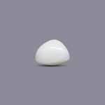 White Coral - 6.8 Carat