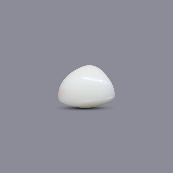 White Coral - 6.8 Carat