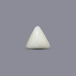 Italian White Coral - 7.45 Carat - Pramogh