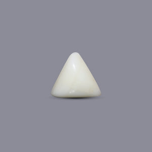 Italian White Coral - 7.45 Carat - Pramogh