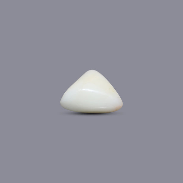 White Coral - 7.45 Carat