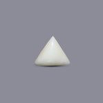 Italian White Coral - 9 Carat - Pramogh