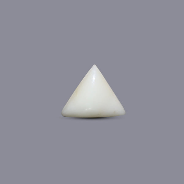 Italian White Coral - 9 Carat - Pramogh