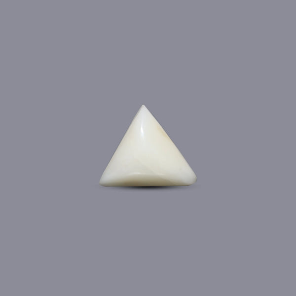 White Coral - 9 Carat