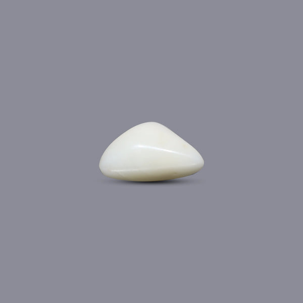White Coral - 9 Carat
