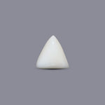 Italian White Coral - 4.6 Carat - Pramogh