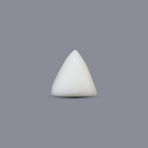 Italian White Coral - 4.6 Carat - Pramogh