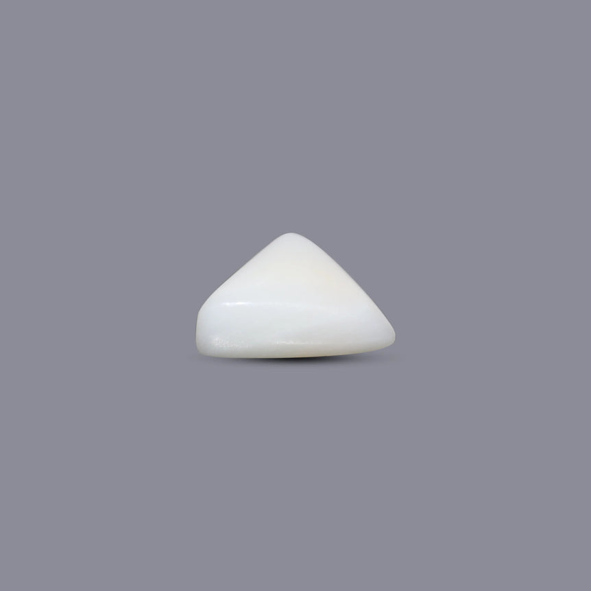 White Coral - 4.6 Carat