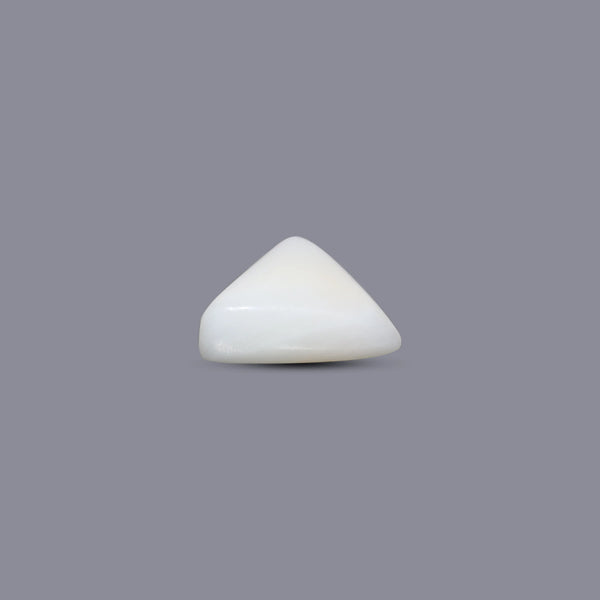 White Coral - 4.6 Carat