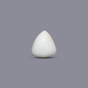 Italian White Coral - 6 Carat - Pramogh