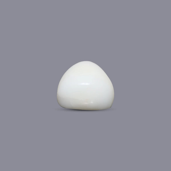 White Coral - 6 Carat