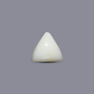 Italian White Coral - 5.6 Carat - Pramogh