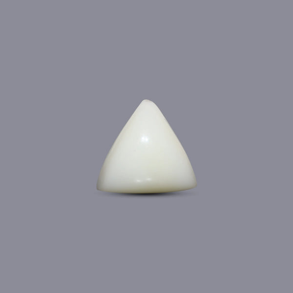 Italian White Coral - 5.6 Carat - Pramogh